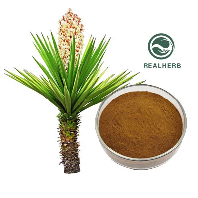 Yucca-extractpoeder